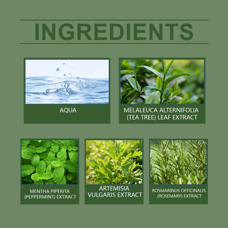 Green Tea Multi-Surface Cleaner – Long-Lasting, Safe Household Spray | Ximonth - Image 5