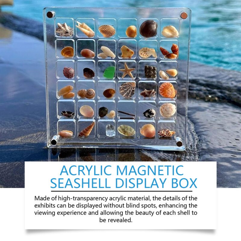 Household Decor Shell Display Box: Multi-Purpose Acrylic Magnetic Storage with Clear View - Image 3