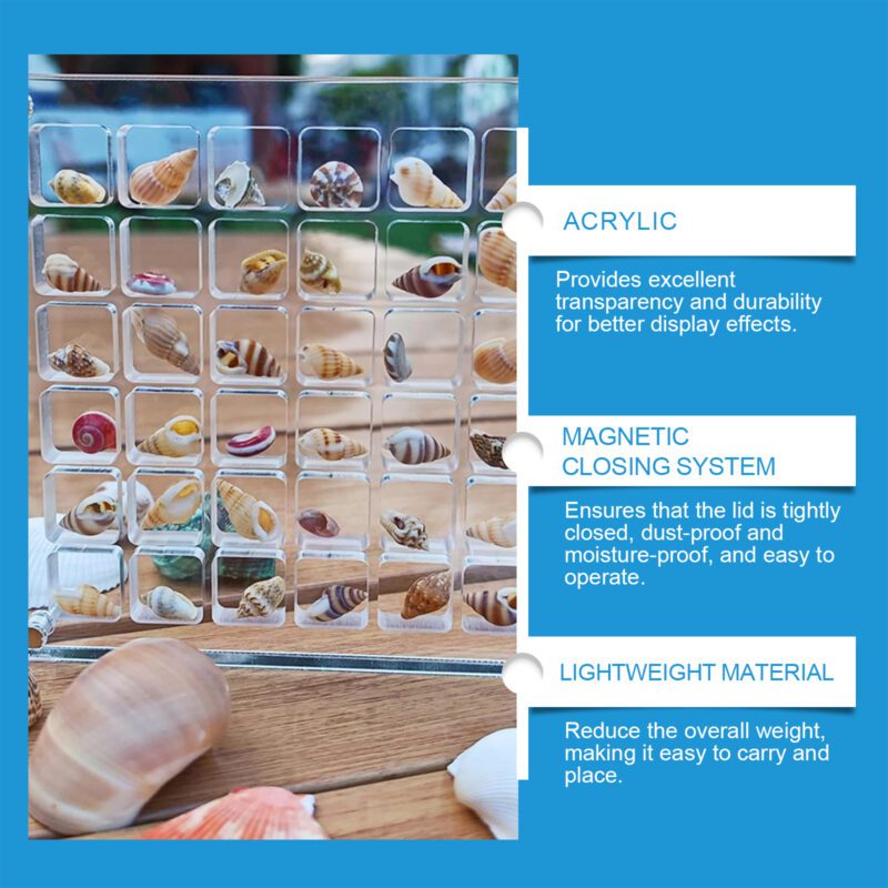 Household Decor Shell Display Box: Multi-Purpose Acrylic Magnetic Storage with Clear View - Image 4