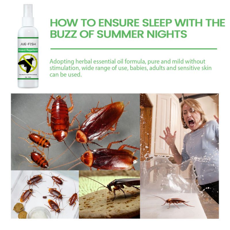 Household Insect Repellent Spray – Multi-Purpose, Safe for Skin, Controls Roaches & Mosquitoes - Image 3