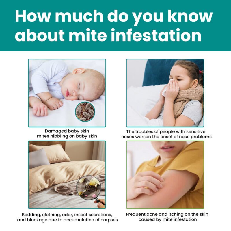 Household Mite Control Kit: Safe Bedding Furniture Long-Lasting Mite Repellent - Image 3
