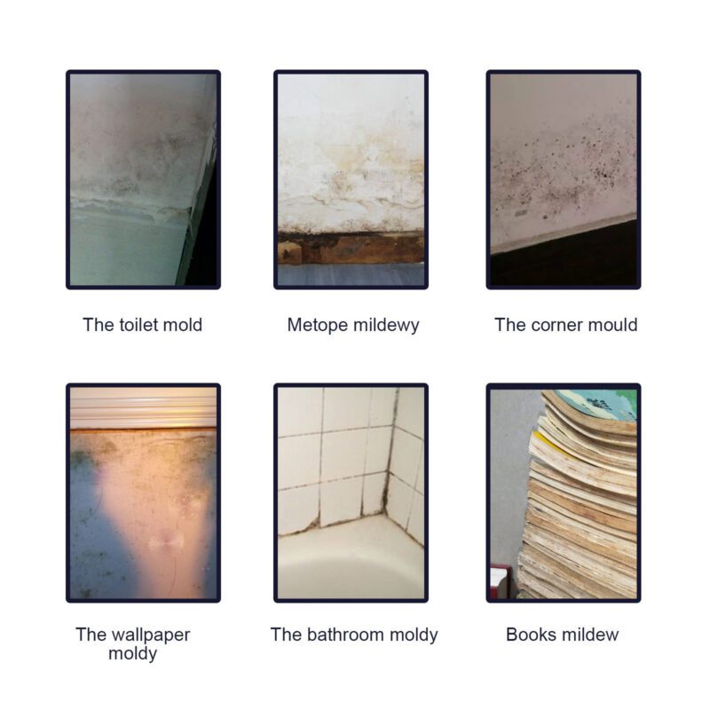 Jaysuing Mold Remover Spray | Multi-Surface Bathroom Tile Wall Cleaner, Fast-Acting & Long-Lasting - Image 4