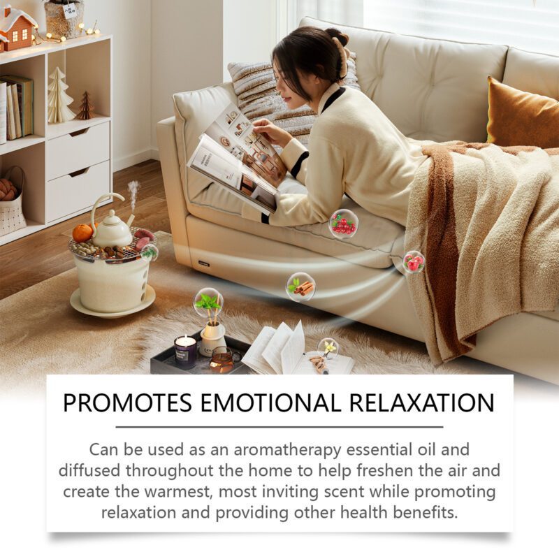 Jue-Fish Winter Aromatherapy Oil Set: Multi-Purpose Essential Oils for Fresh, Warm Home Air - Image 3