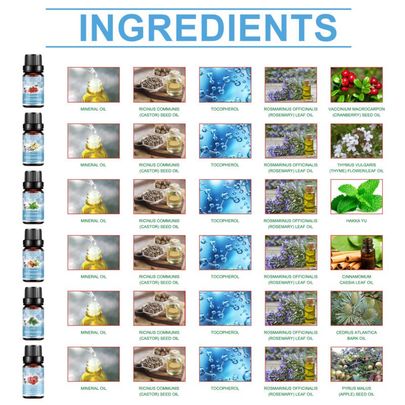 Jue-Fish Winter Aromatherapy Oil Set: Multi-Purpose Essential Oils for Fresh, Warm Home Air - Image 5