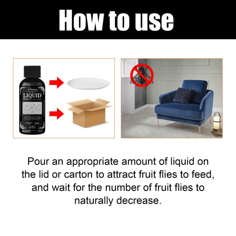 Long-Lasting Household Fly Trap: Safe Fruit Fly Solution for Kitchen & Living Room - Image 6