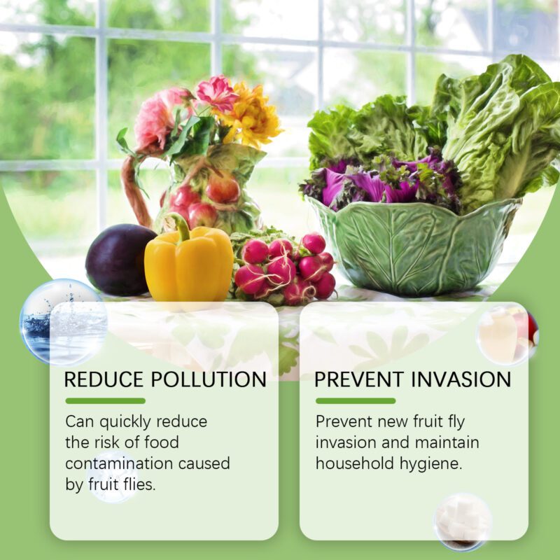 Long-Lasting Household Fruit Fly Trap Lure: Safe Kitchen Pest Control Supplement - Image 3