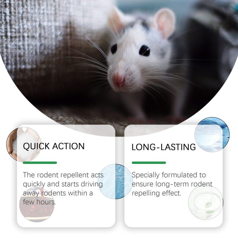MoonSpry Minty Rat Repellent: Long-Lasting Household Pest Control, Safe Surfaces - Image 3