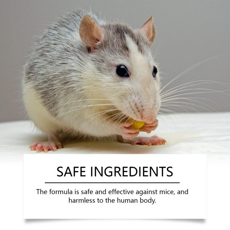 MoonSpry Minty Rat Repellent: Long-Lasting Household Pest Control, Safe Surfaces - Image 4