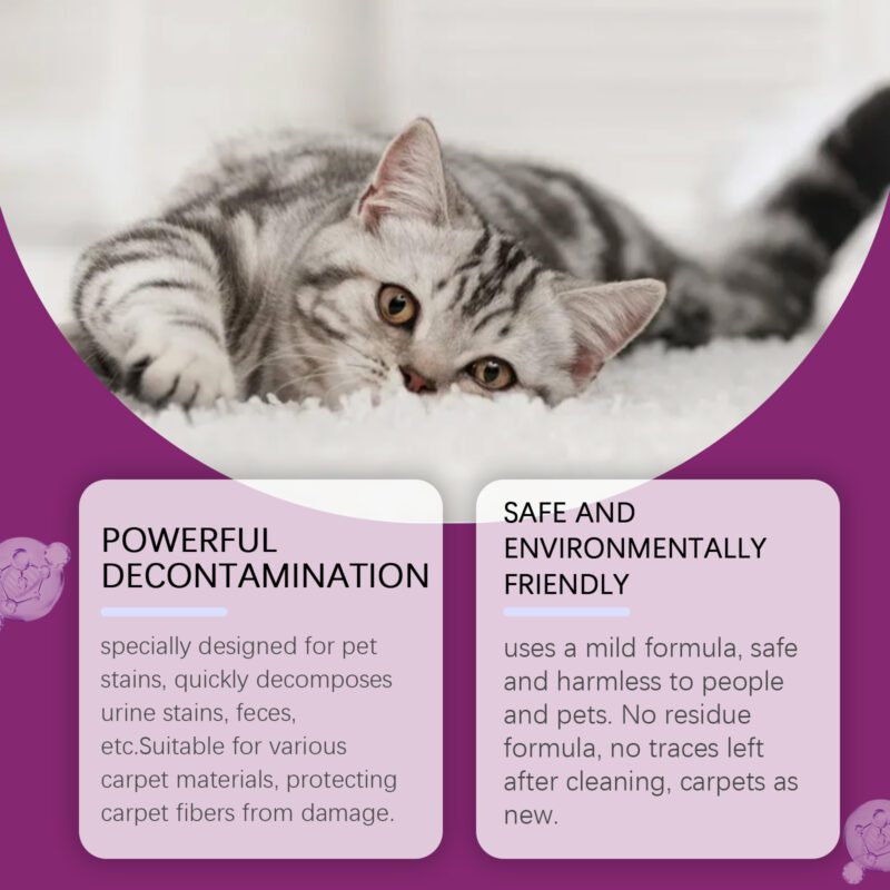 Multi-Purpose Household Carpet Cleaner – Pet Stain Remover, Safe Surface, Long-Lasting - Image 2