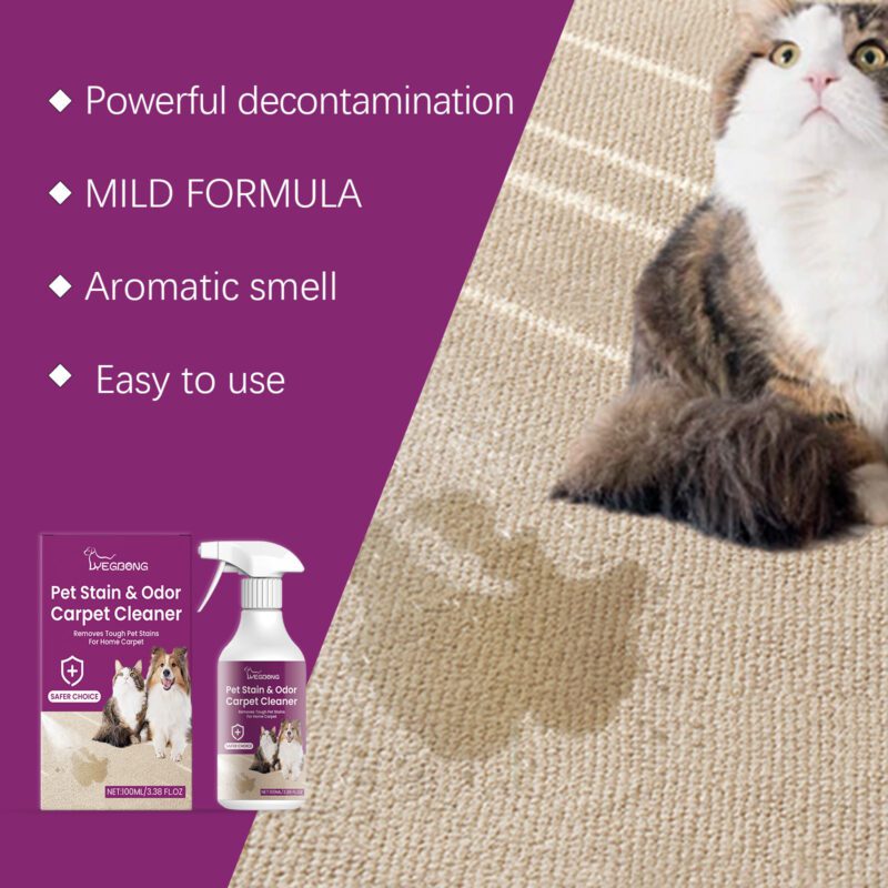 Multi-Purpose Household Carpet Cleaner – Pet Stain Remover, Safe Surface, Long-Lasting - Image 3