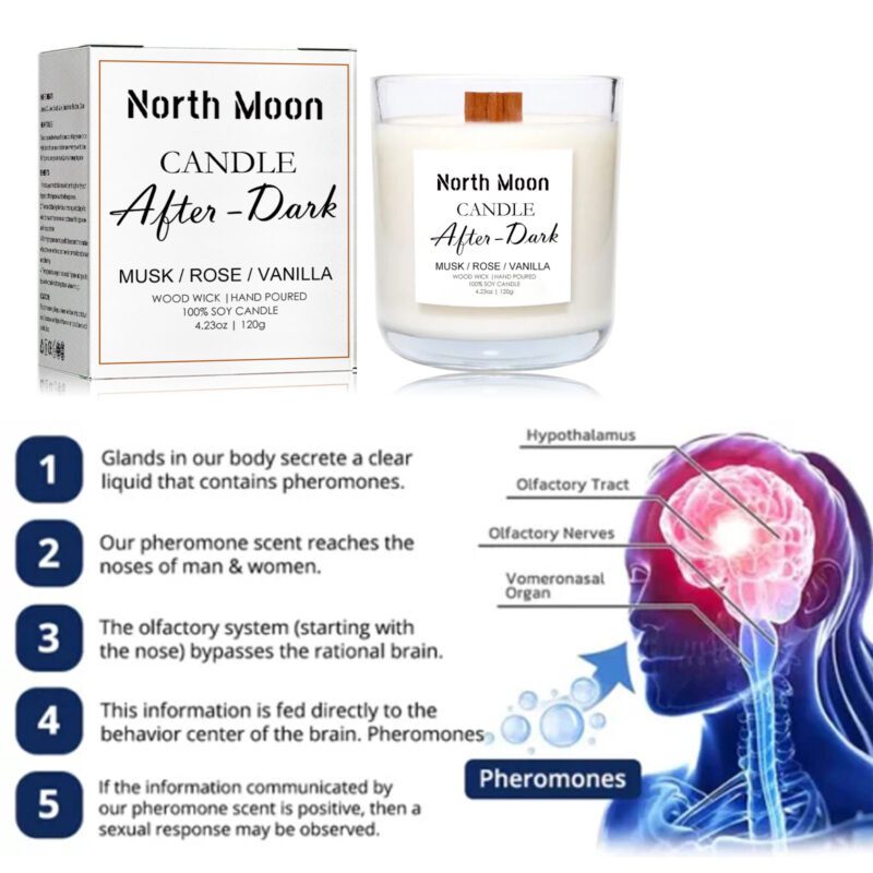 North Moon Natural Aromatherapy Candle: Long-Lasting Household Air Freshener, Safe for Home Spaces - Image 4
